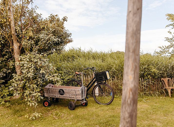 Unterkunft 4504334 - Ferienhaus Noordzeekust - Juttershut