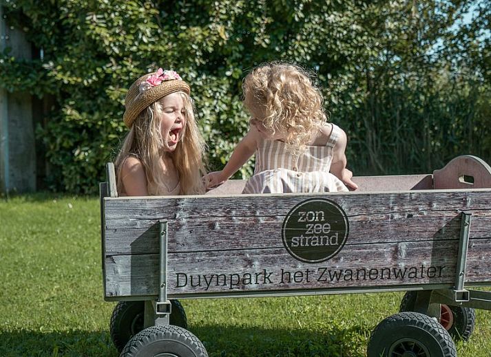 Verblijf 4504337 - Vakantiewoning Noordzeekust - Duynlodge