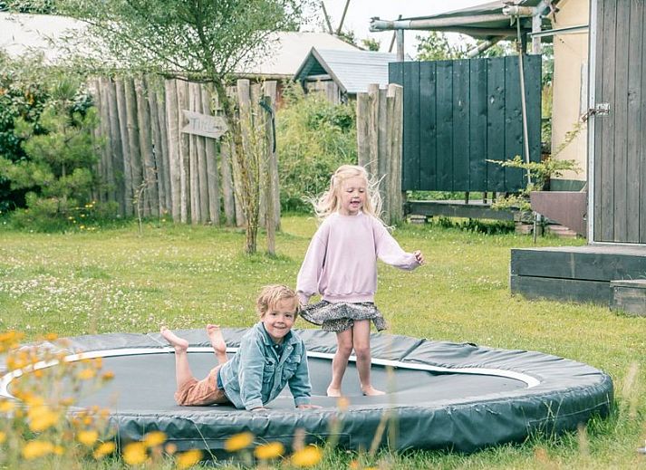 Verblijf 4504337 - Vakantiewoning Noordzeekust - Duynlodge