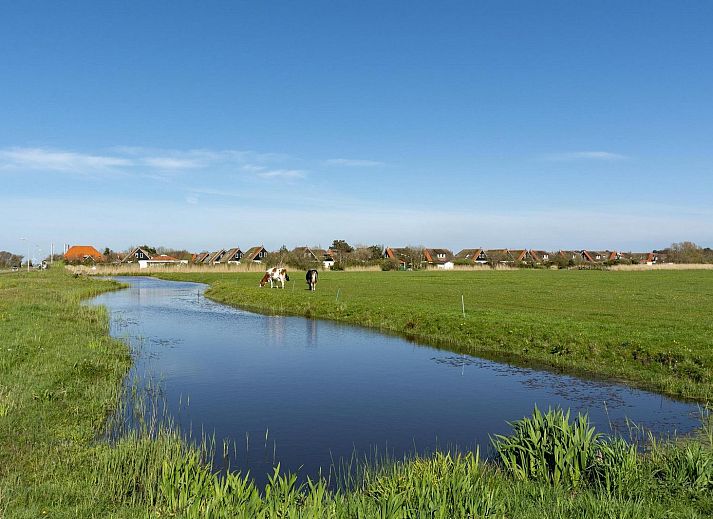 Guest house 4504342 - Holiday property Noordzeekust - De Buitenplaats 72