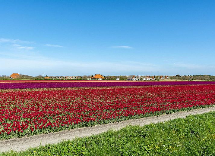 Guest house 4504342 - Holiday property Noordzeekust - De Buitenplaats 72