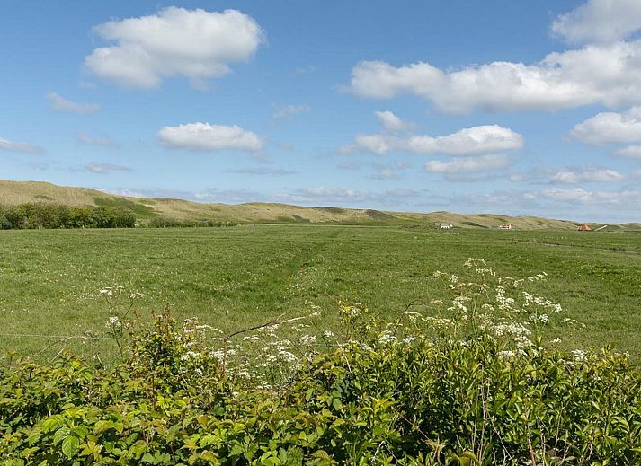 Unterkunft 4504351 - Ferienhaus Noordzeekust - Garnekuul 7