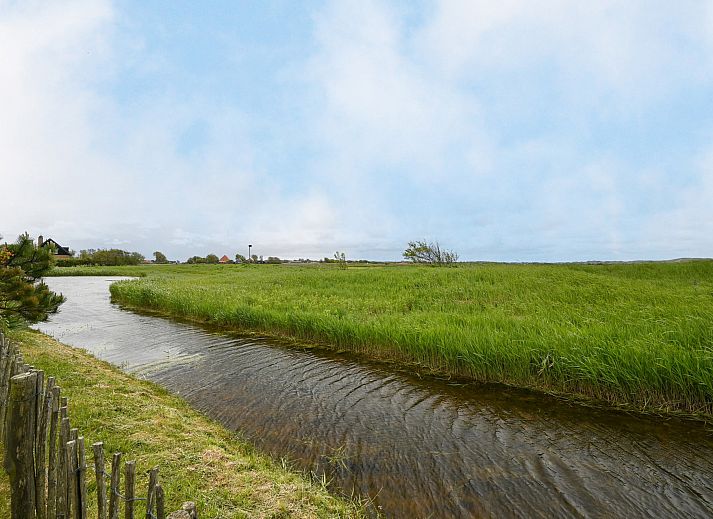 Unterkunft 4504366 - Ferienhaus Noordzeekust - Vrijstaande woning in Callantsoog