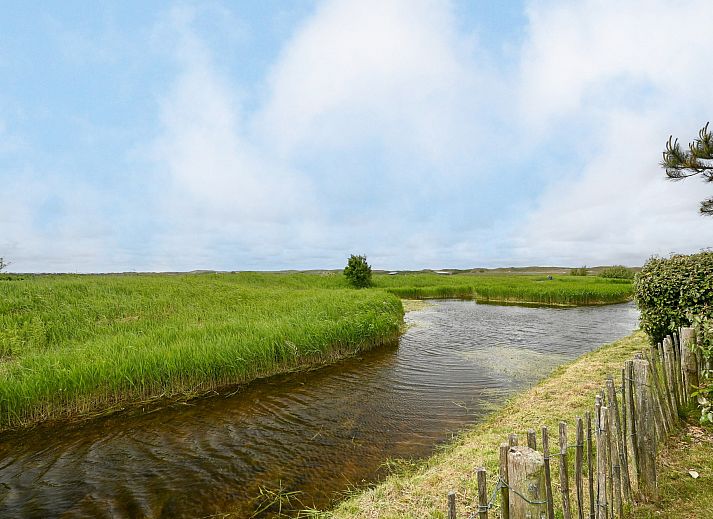 Unterkunft 4504366 - Ferienhaus Noordzeekust - Vrijstaande woning in Callantsoog
