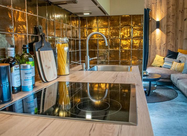 Gemuetliches Wohnzimmer von Spoelde wiel in Callantsoog mit Kamin und modernen Moebeln.