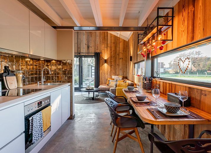 Gemuetliches Wohnzimmer von Spoelde wiel in Callantsoog mit Kamin und modernen Moebeln.