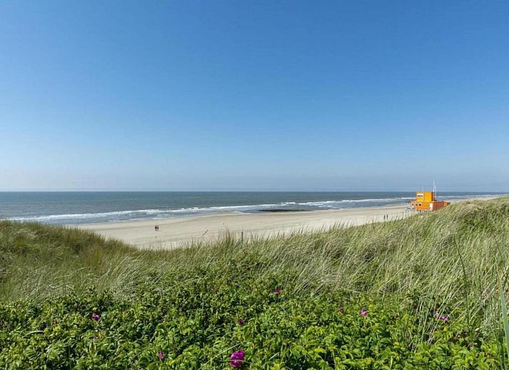 Unterkunft 4504411 - Appartement Noordzeekust - Zilte Bries