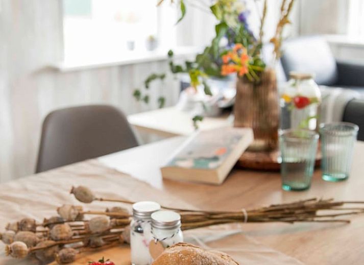 Aussenbereich des Ferienhauses in Callantsoog, Nordseekueste, Nordholland, umgeben von Duenengras.