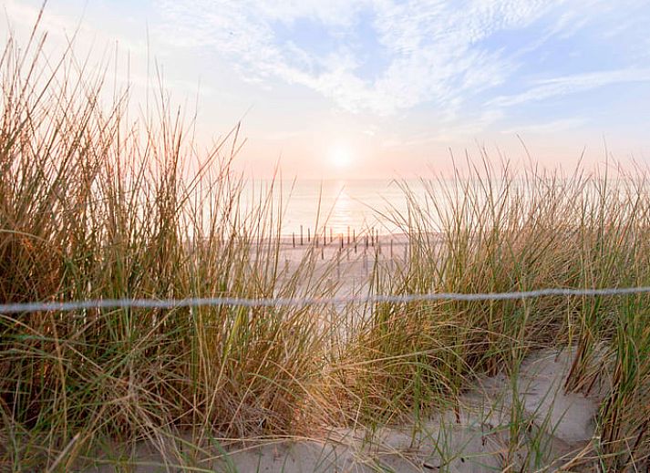 Sonnige Terrasse am Ferienhaus in Callantsoog, Nordseekueste, Nordholland, mit bequemen Sitzgelegenheiten.