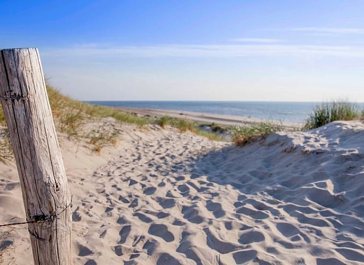 Bluehende Pflanze auf der Terrasse des Ferienhauses in Callantsoog, Nordseekueste, Nordholland.