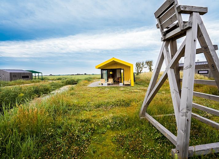 Bright interior space of Callants Comfort 4 in Callantsoog, with cozy sitting area and dining area.