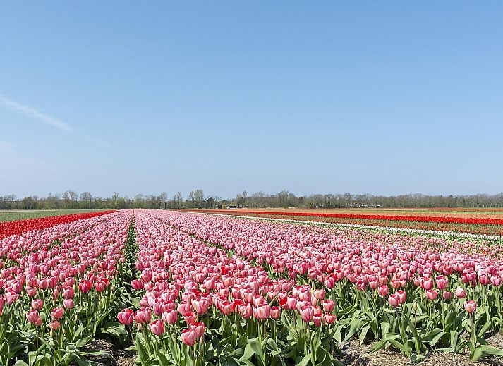Verblijf 4504548 - Vakantiewoning Noordzeekust - Vakantiehuisje Vloed