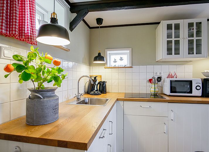 Guest house 4504549 - Holiday property Noordzeekust - Suite Koeboet