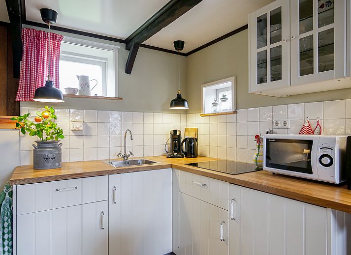 Guest house 4504549 - Holiday property Noordzeekust - Suite Koeboet