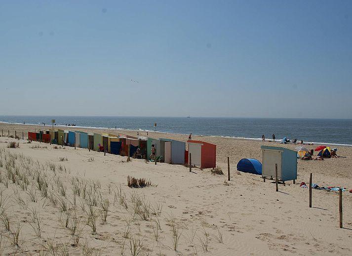Guest house 4504549 - Holiday property Noordzeekust - Suite Koeboet