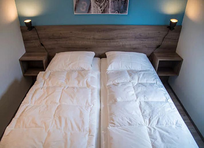 Guest house 4504563 - Holiday property Noordzeekust - Strandhaven