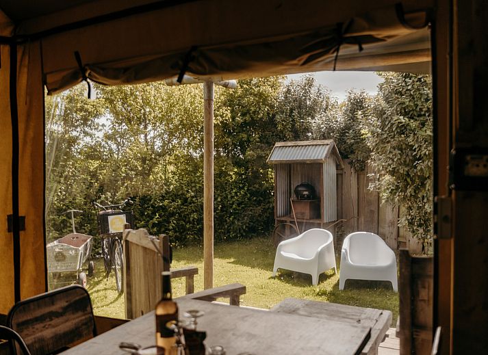 Verblijf 450482 - Tenthuis Noordzeekust - Beach Lodge