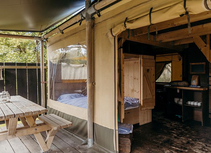 Verblijf 450482 - Tenthuis Noordzeekust - Beach Lodge
