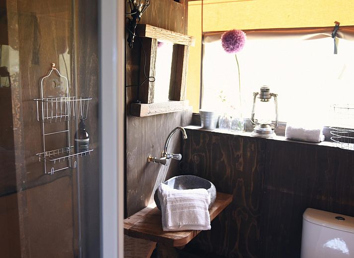 Unterkunft 450485 - Zelthaus Noordzeekust - Beach Lodge Luxe