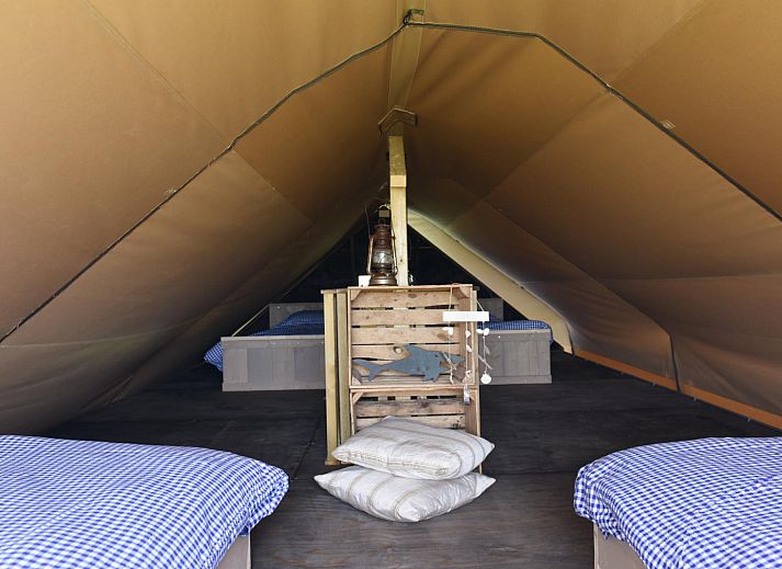 Unterkunft 450485 - Zelthaus Noordzeekust - Beach Lodge Luxe