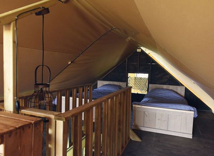 Unterkunft 450485 - Zelthaus Noordzeekust - Beach Lodge Luxe