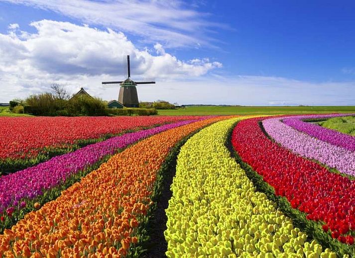 Gemtliches Wohnzimmer des Ferienhauses Zwanenwater 1 in Callantsoog, Nordseekste, mit bequemen Sofas und Essecke.