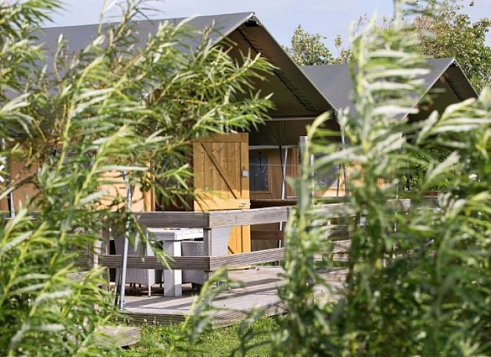 Guest house 450490 - Tent house Noordzeekust - Vakantiepark Callassande