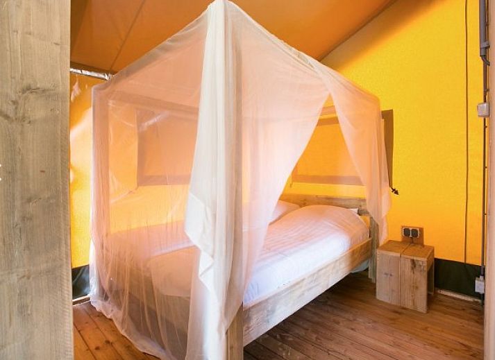 Guest house 450490 - Tent house Noordzeekust - Vakantiepark Callassande
