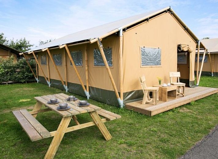 Guest house 450494 • Tent house Noordzeekust • Safaritent 6 persoons. 