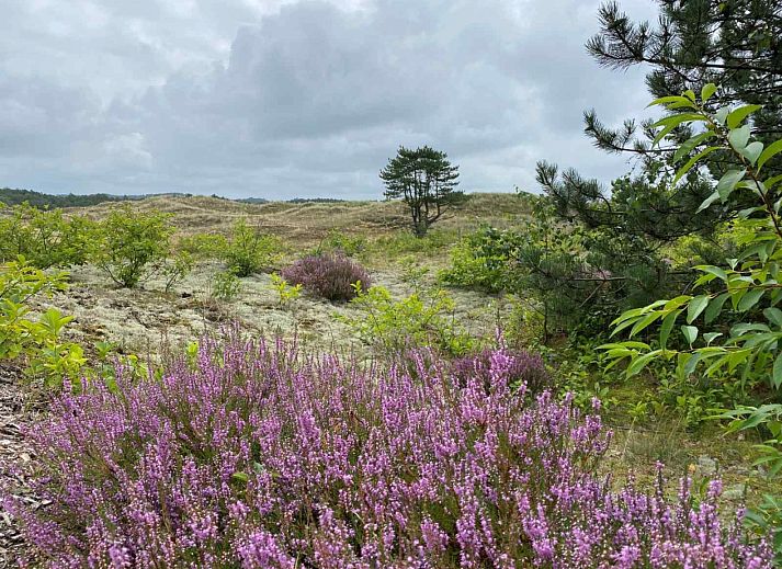 Verblijf 450503 - Vakantiewoning Noordzeekust - NH137