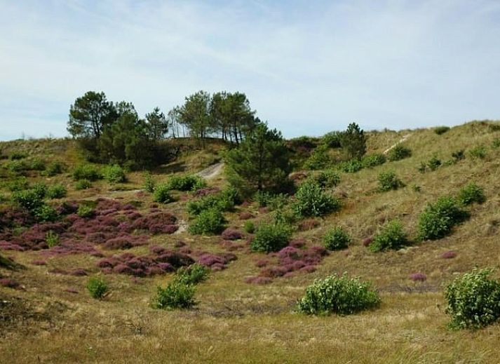 Vakantiehuis in Groet met charmante tuin, Noordzeekust, Noord-Holland