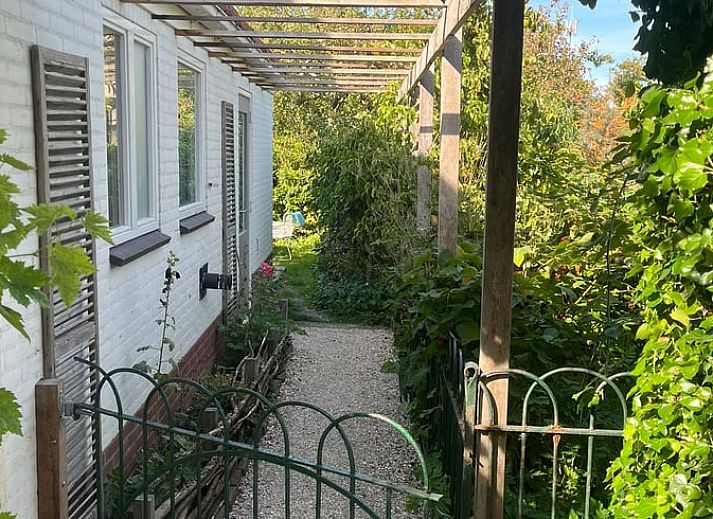 Bosrijk wandelpad nabij Vakantiehuis in Groet, Noordzeekust, Noord-Holland