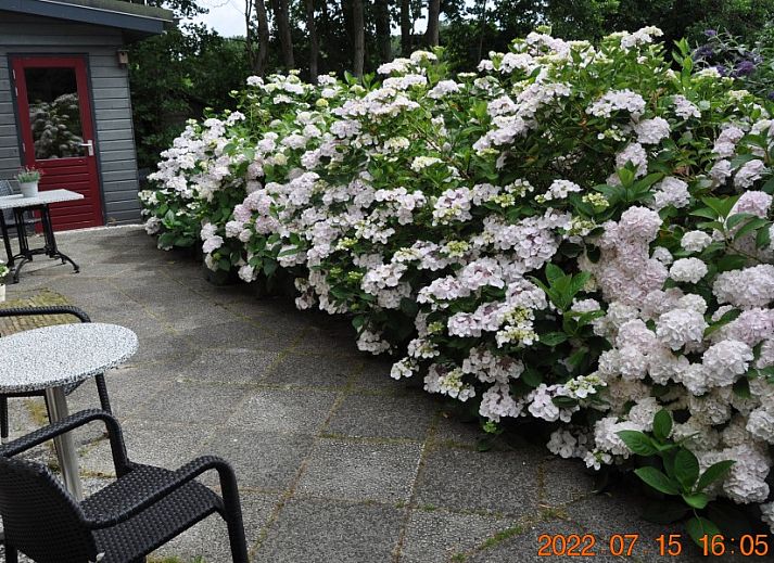 Ferienbungalow Catrijp in Groet, Nordholland mit gruenem Garten an der Nordseekueste.