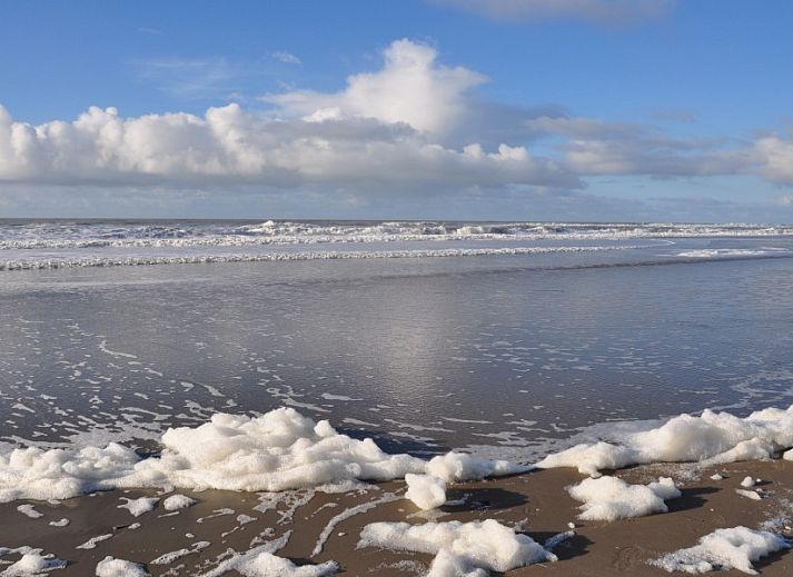 Terrasse des Ferienbungalows Catrijp in Groet, umgeben von viel Gruen an der Nordseekueste.