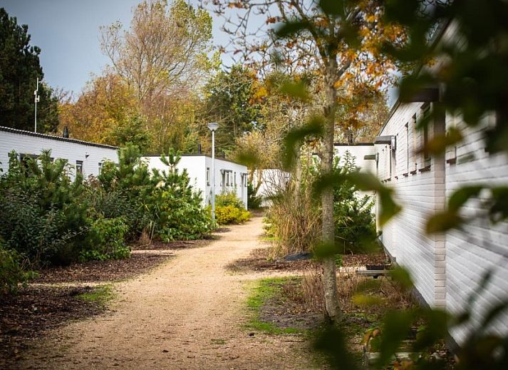 Moderne keuken in vakantiehuis AanNoordzee.nl, Noordzeekust, Noord-Holland.
