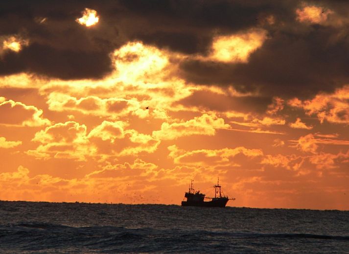 Front of vacation home at Vakantiepark Houdewind, with terrace and garden in Sint Maartenszee, North Sea coast, North Holland.