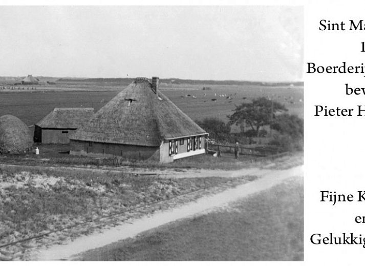 Unique architecture of vacation home at Holiday Park Houdewind in Sint Maartenszee, surrounded by greenery, North Sea coast, North Holland.