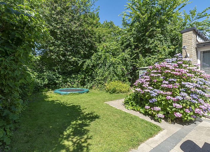 Guest house 450612 - Holiday property Noordzeekust - Duinland 197 Sint Maartenszee
