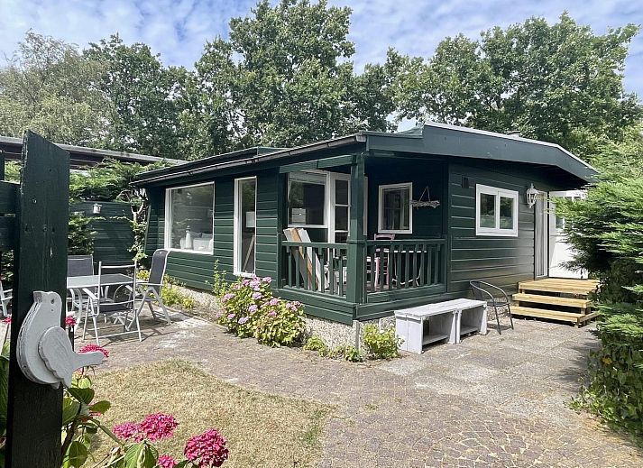Unterkunft 4506166 - Ferienhaus Noordzeekust - Campanula 173