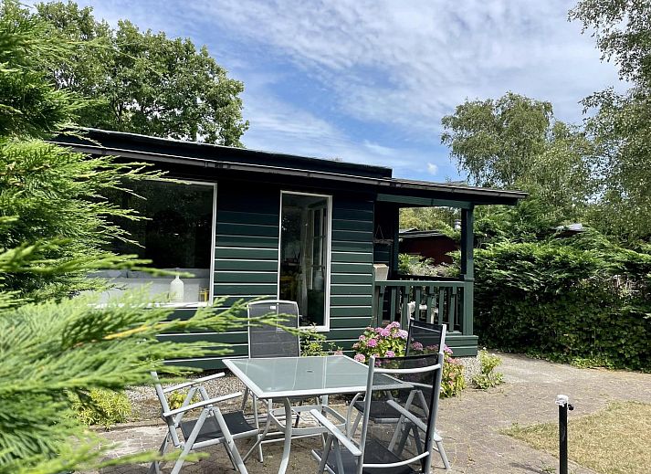 Unterkunft 4506166 - Ferienhaus Noordzeekust - Campanula 173