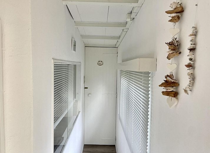 Unterkunft 4506166 - Ferienhaus Noordzeekust - Campanula 173
