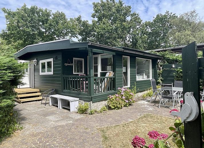 Unterkunft 4506166 - Ferienhaus Noordzeekust - Campanula 173