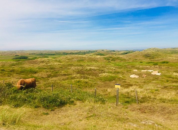 Gezellige binnenruimte van stacaravan De Zeemeeuw in Sint Maartenszee, Noordzeekust. Comfortabel ingericht voor een ontspannen verblijf.