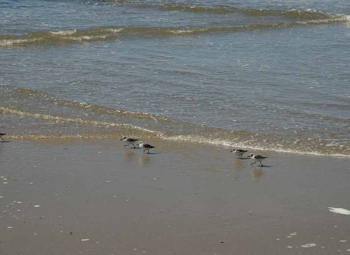 Gezellige binnenruimte van stacaravan De Zeemeeuw in Sint Maartenszee, Noordzeekust. Comfortabel ingericht voor een ontspannen verblijf.