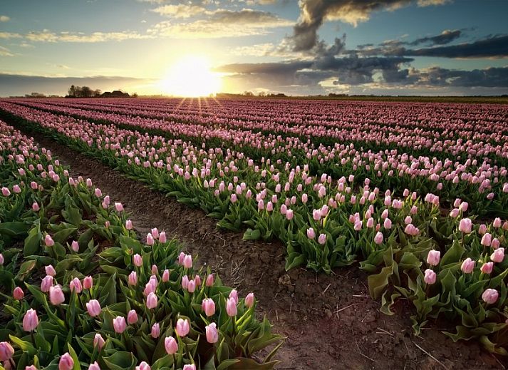 Luxury bathroom with bath and shower in Beachvilla bungalow, Sint Maartenszee, North Sea coast, North Holland.