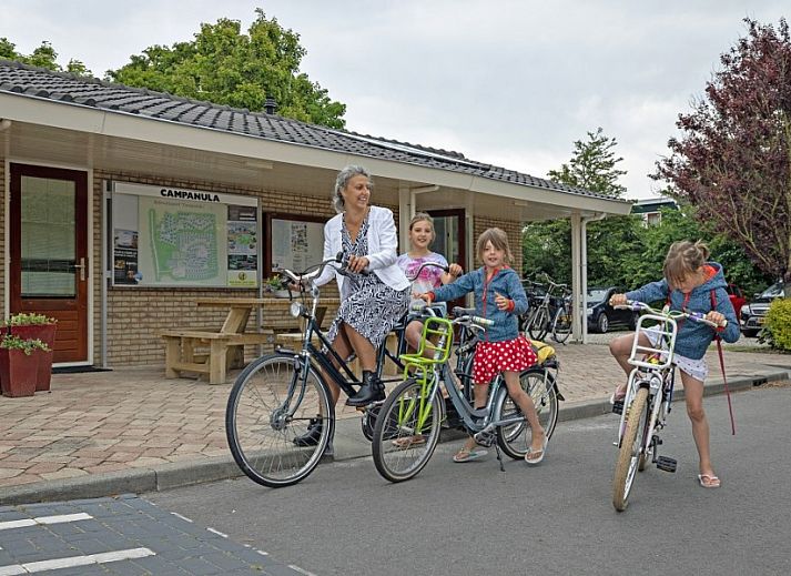 Modern kitchen in Bungalow type D, sleeps 6 in Sint Maartenszee, North Sea coast, North Holland with wooden cabinets.
