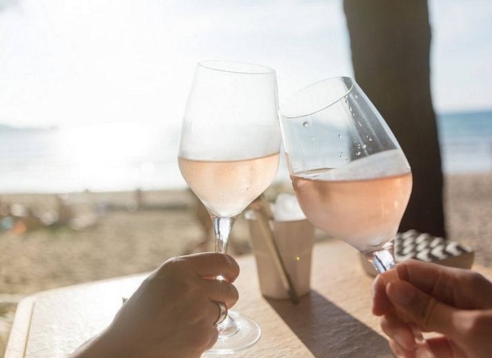 Garden view from Bungalow type D, sleeps 6 in Sint Maartenszee, North Sea coast, North Holland with lots of light.