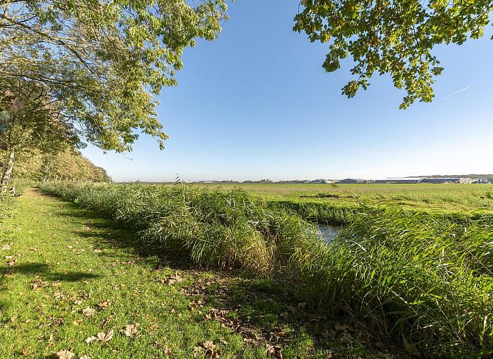 Guest house 450639 - Holiday property Noordzeekust - Duinland 110