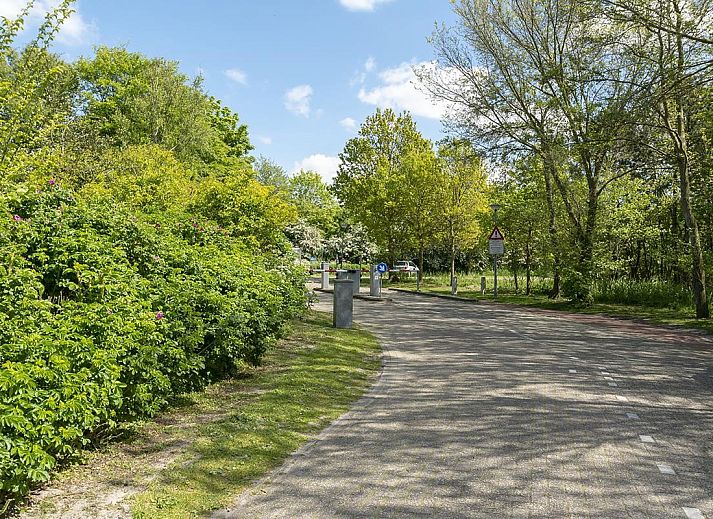 Guest house 450640 - Holiday property Noordzeekust - Duinland 181 Sint Maartenszee