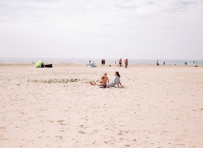 Guest house 450647 - Holiday property Noordzeekust - Duinland 122 Sint Maartenszee